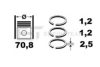 FIAT 064020713 Piston Ring Kit